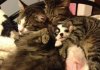 Forbidden Love 15 images