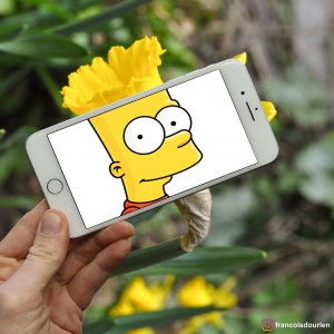 I Insert Simpsons Characters Into Real Life Situations Using My Iphone2