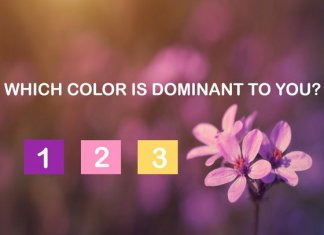 The Most Beautiful Test Will Determine Your Dominant Spiritual Color!