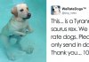 41 Times People Failed To Send Dog Pics To ‘We Rate Dogs’ Twitter