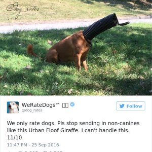 Times People Failed To Send Dog Pics To We Rate Dogs Twitter18