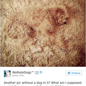 Times People Failed To Send Dog Pics To We Rate Dogs Twitter22