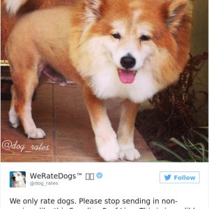 Times People Failed To Send Dog Pics To We Rate Dogs Twitter27