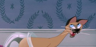 Which Disney Cat Are You?