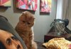 Funny animal picture dump (24 photos)