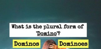 Only 9% Of English Teachers Know The Plural Forms Of The Most Confusing 18 Words. Do You?