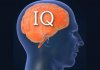 We Can Guess Your Job Based On Your IQ