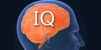 We Can Guess Your Job Based On Your IQ