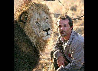 Watch and Relax. Wild Animals Showing Their Love to Human part 1