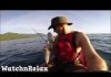 Watch and Relax. Wild Animals Showing Their Love to Human part 4