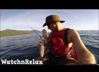 Watch and Relax. Wild Animals Showing Their Love to Human part 4