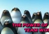 The Power of Teamwork (Funny Animation)