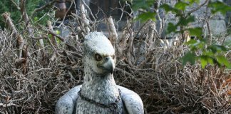 What Is Your Temperament Based On Harry Potter Creatures?