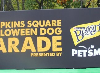 Halloween Dog Parade (21 images)