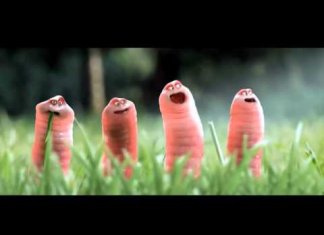 Cartoon about worms (Funny Animated)