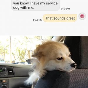 Uber Drivers Surprised Their Clients (13)