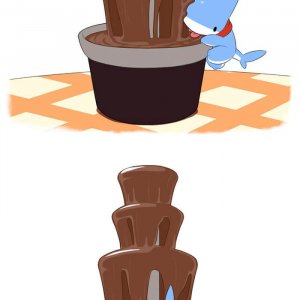 Shark Puppy (1)