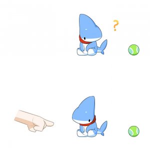 Shark Puppy (2)