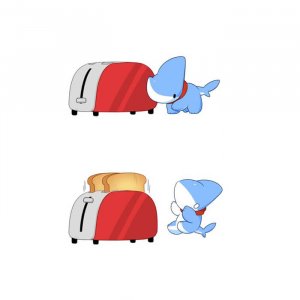 Shark Puppy (3)