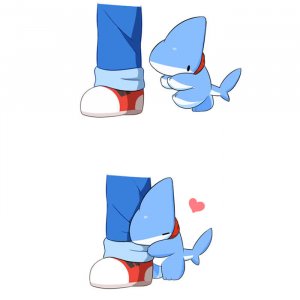 Shark Puppy (4)