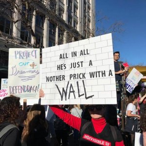 The Best Signs From Womens March 2018 (18)