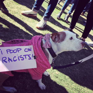 The Best Signs From Womens March 2018 (4)