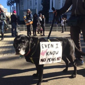 The Best Signs From Womens March 2018 (5)