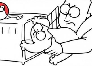 Box Clever – Simon’s Cat (Funny Animated)