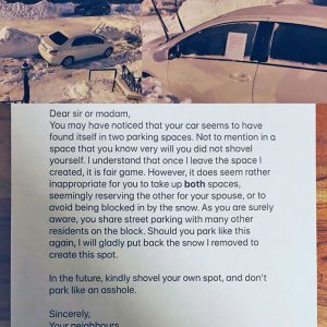 passive-aggressive neighbor (18)