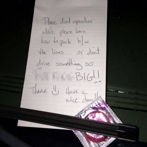 passive-aggressive neighbor (19)