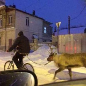 wtf crazy russia (1)