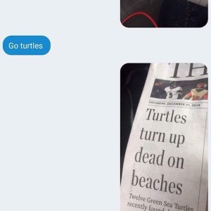 Things too depressing not to laugh at (15)