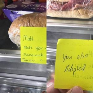Things too depressing not to laugh at (17)