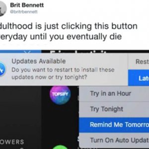 Things too depressing not to laugh at (19)