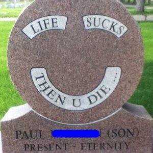 Things too depressing not to laugh at (2)