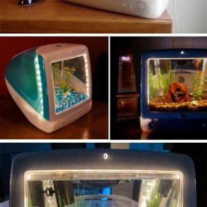 Amazing Aquariums (1)