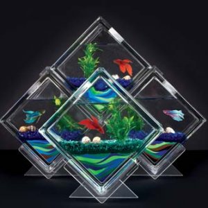 Amazing Aquariums (10)