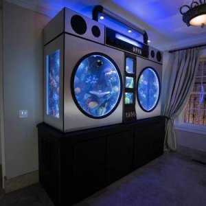 Amazing Aquariums (15)