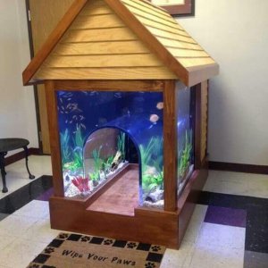 Amazing Aquariums (17)