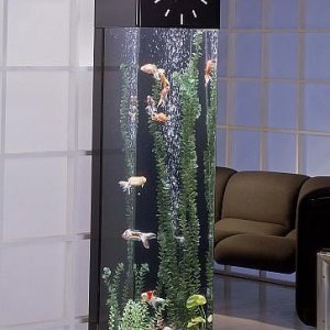 Amazing Aquariums (18)