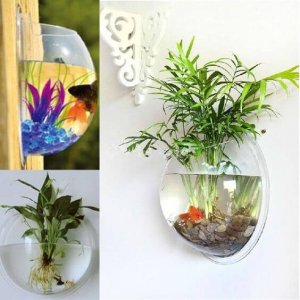 Amazing Aquariums (19)