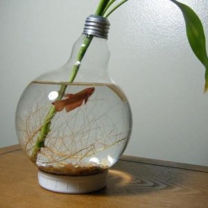 Amazing Aquariums (20)