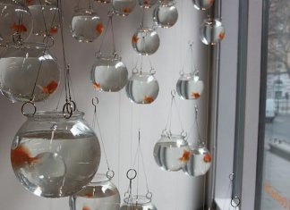 Amazing aquariums (21 images)