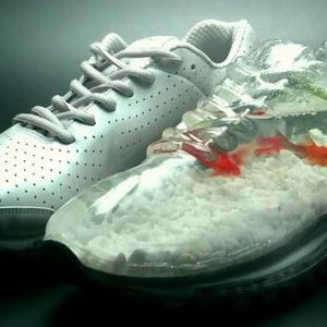 Amazing Aquariums (4)