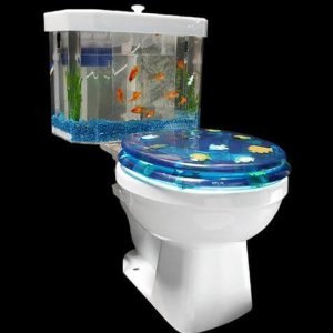 Amazing Aquariums (5)