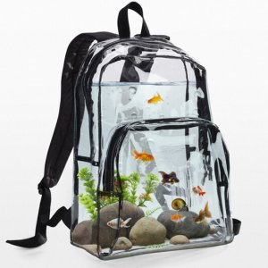 Amazing Aquariums (7)