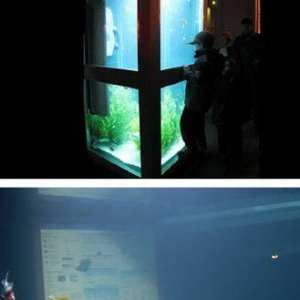 Amazing Aquariums (8)