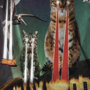 Cats Destroy Everything (19)