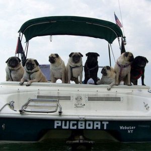 Clever And Funny Boat Names (3)
