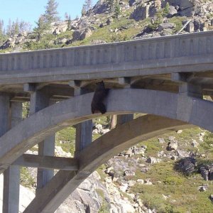 How did that get there (14)